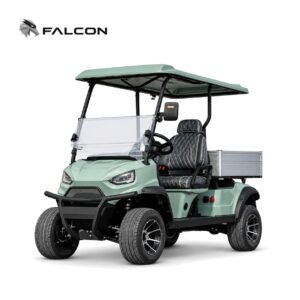 Electric Golf Cart GG-DP018