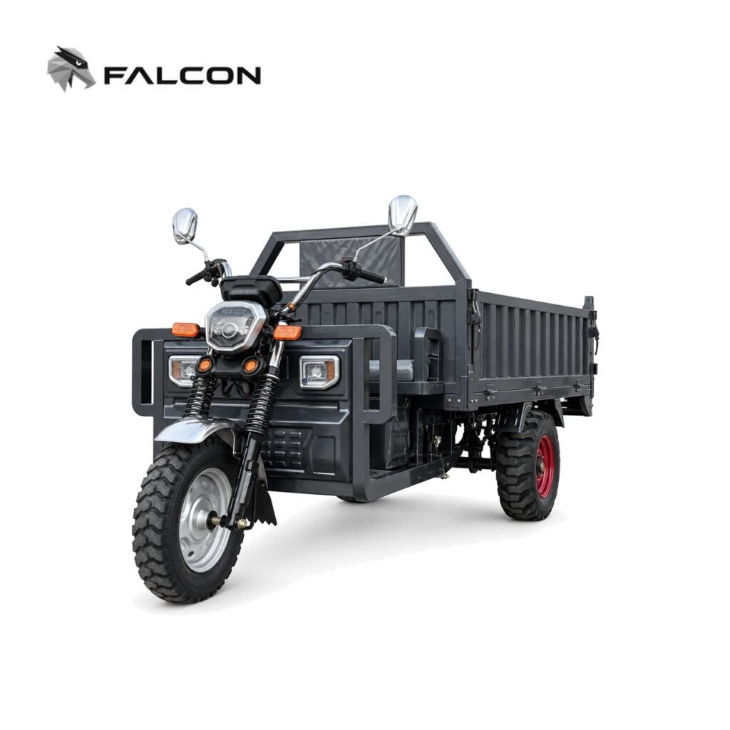 Electric Cargo Tricycle ZH-CP010